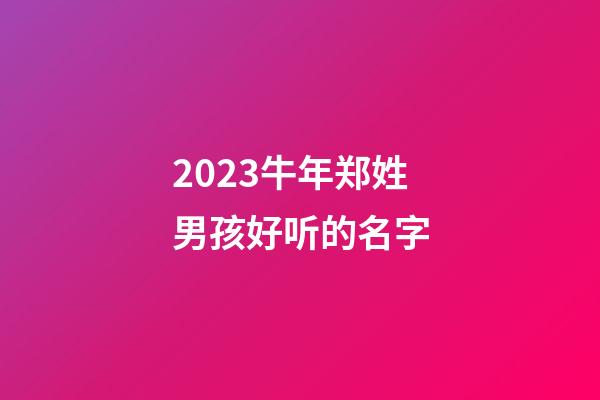 2023牛年郑姓男孩好听的名字