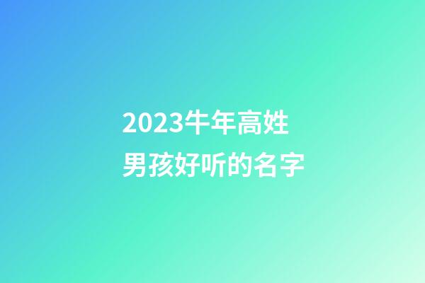 2023牛年高姓男孩好听的名字