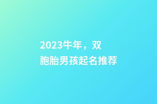 2023牛年，双胞胎男孩起名推荐