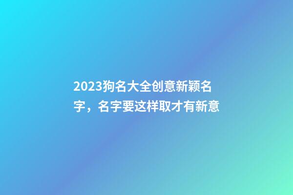 2023狗名大全创意新颖名字，名字要这样取才有新意
