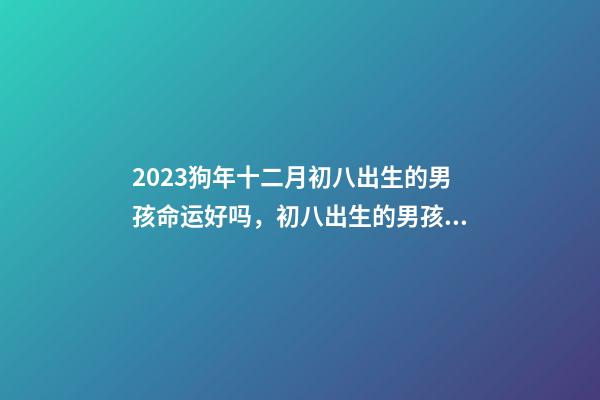 2023狗年十二月初八出生的男孩命运好吗，初八出生的男孩命运详细