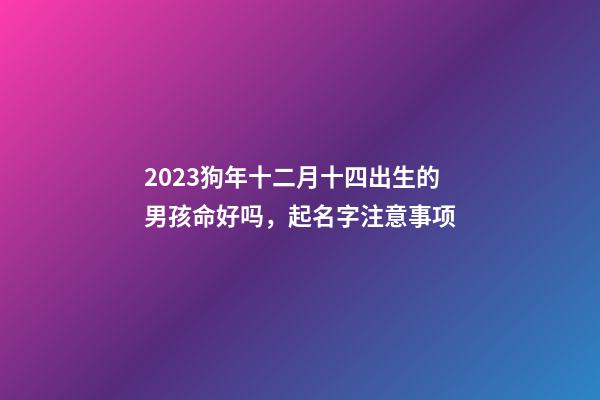 2023狗年十二月十四出生的男孩命好吗，起名字注意事项