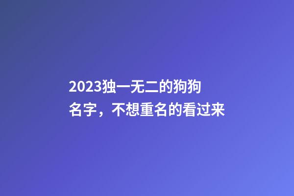 2023独一无二的狗狗名字，不想重名的看过来