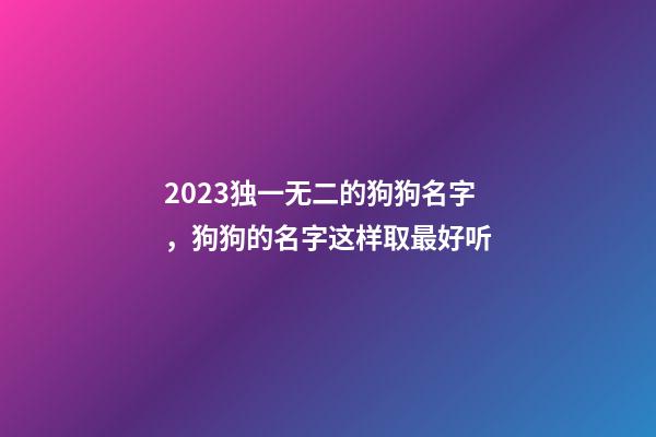 2023独一无二的狗狗名字，狗狗的名字这样取最好听