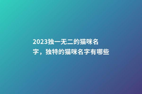2023独一无二的猫咪名字，独特的猫咪名字有哪些