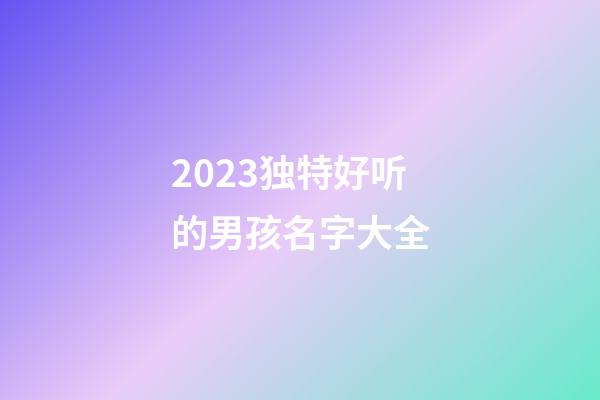 2023独特好听的男孩名字大全