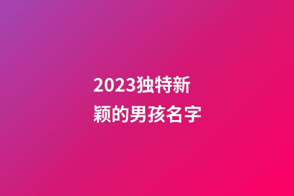 2023独特新颖的男孩名字