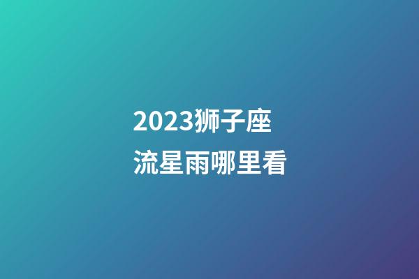 2023狮子座流星雨哪里看-第1张-星座运势-玄机派