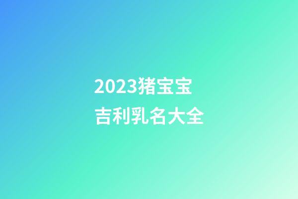 2023猪宝宝吉利乳名大全