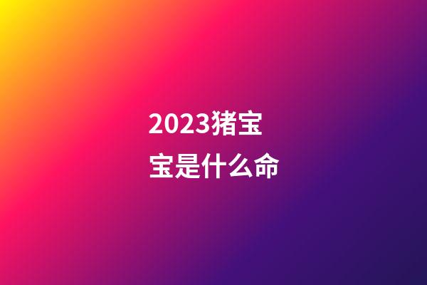 2023猪宝宝是什么命