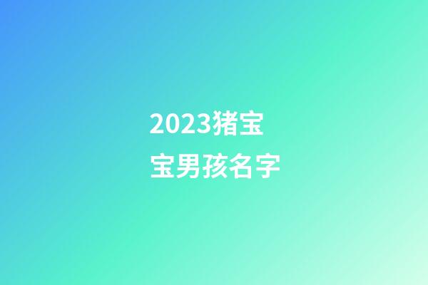 2023猪宝宝男孩名字