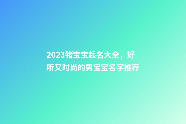 2023猪宝宝起名大全，好听又时尚的男宝宝名字推荐