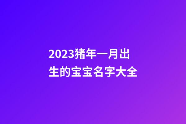 2023猪年一月出生的宝宝名字大全