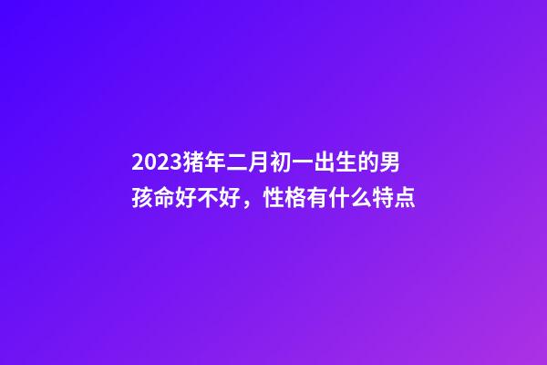 2023猪年二月初一出生的男孩命好不好，性格有什么特点