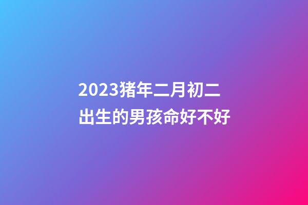 2023猪年二月初二出生的男孩命好不好