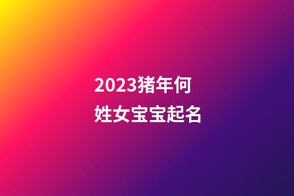 2023猪年何姓女宝宝起名