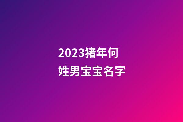 2023猪年何姓男宝宝名字