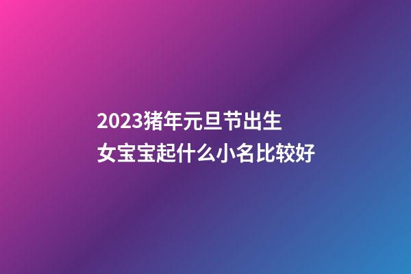 2023猪年元旦节出生女宝宝起什么小名比较好