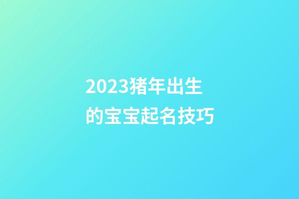 2023猪年出生的宝宝起名技巧