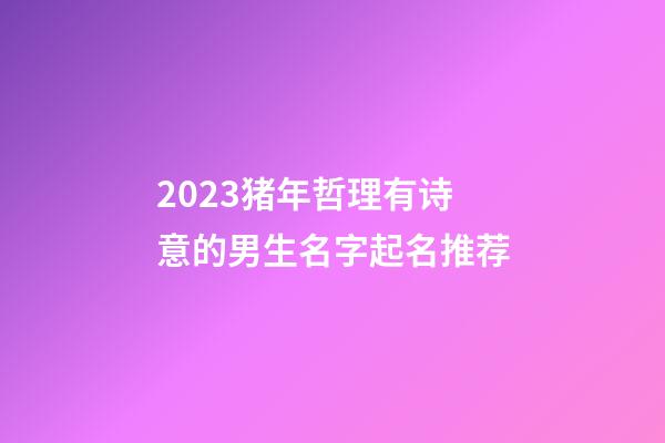 2023猪年哲理有诗意的男生名字起名推荐