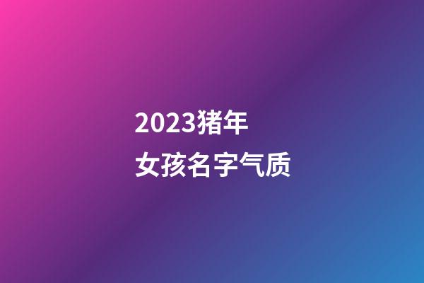2023猪年女孩名字气质