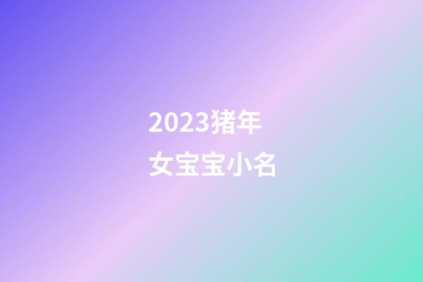 2023猪年女宝宝小名