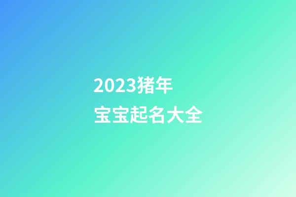 2023猪年宝宝起名大全