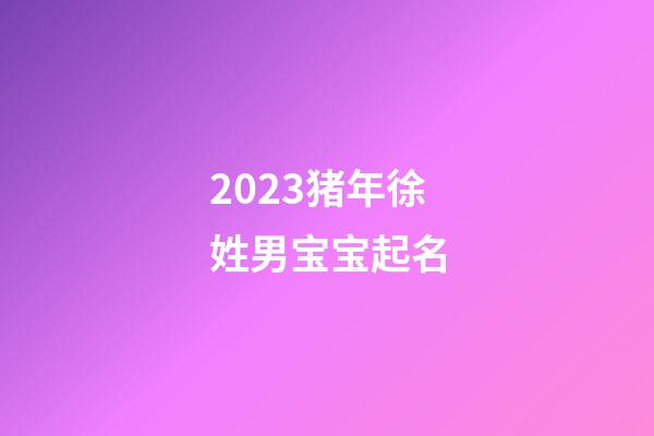 2023猪年徐姓男宝宝起名