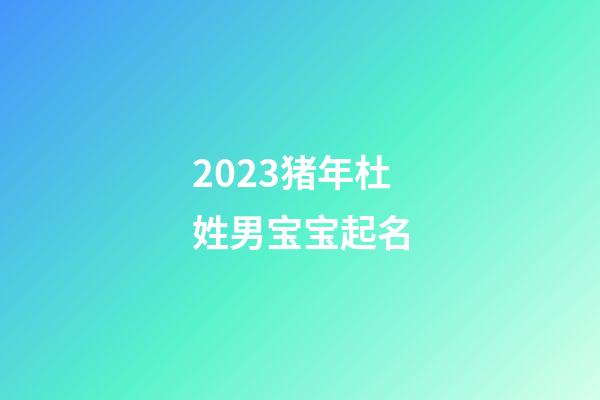 2023猪年杜姓男宝宝起名