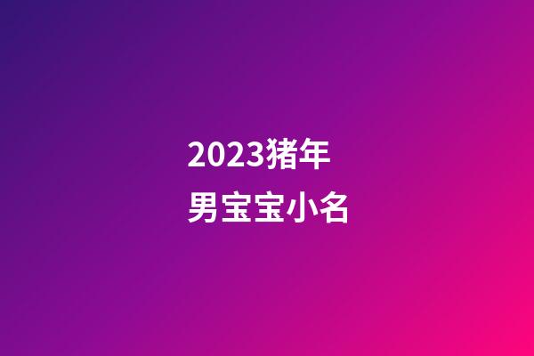 2023猪年男宝宝小名