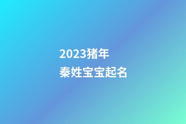 2023猪年秦姓宝宝起名