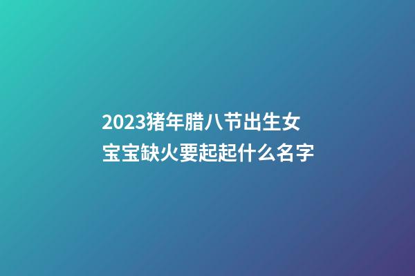 2023猪年腊八节出生女宝宝缺火要起起什么名字