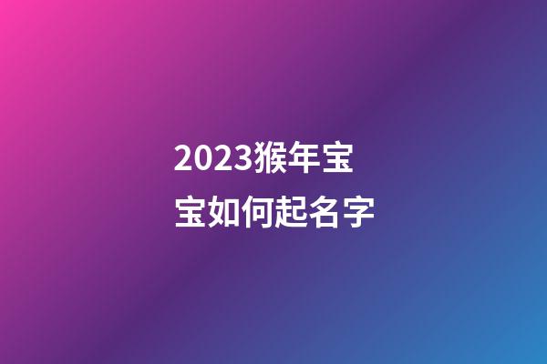 2023猴年宝宝如何起名字