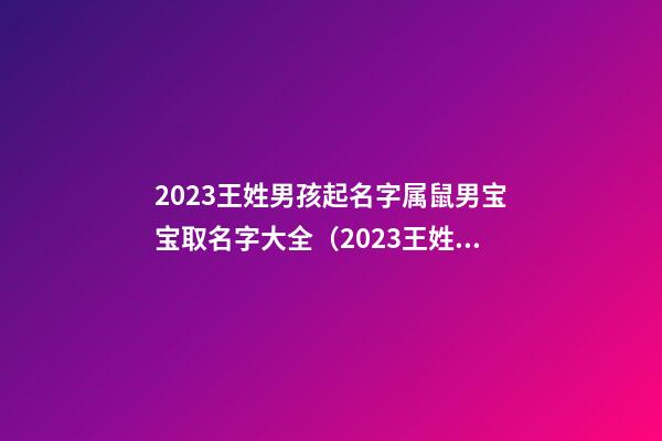 2023王姓男孩起名字属鼠男宝宝取名字大全（2023王姓男孩起名字属鼠男宝宝取名字大全洋气）
