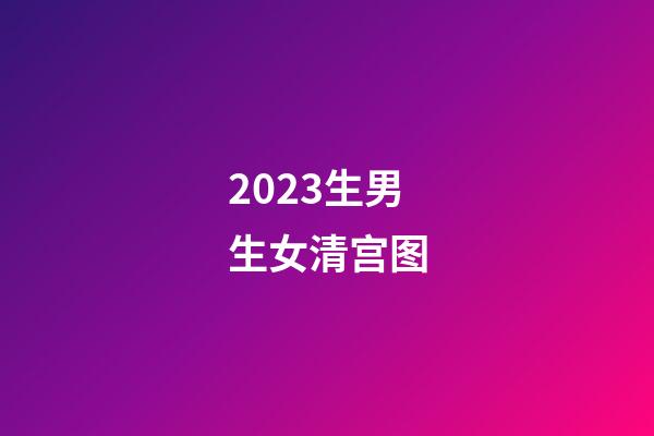 2023生男生女清宫图