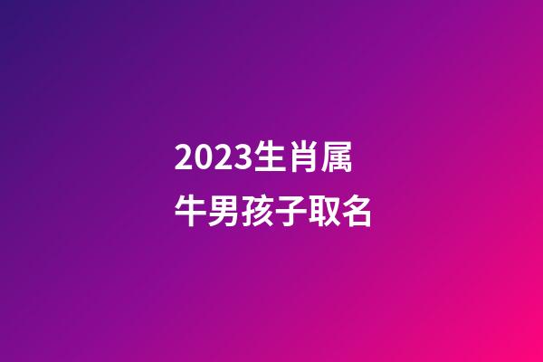 2023生肖属牛男孩子取名