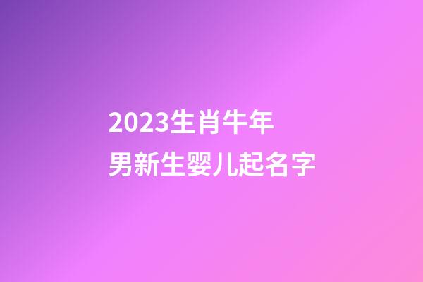 2023生肖牛年男新生婴儿起名字