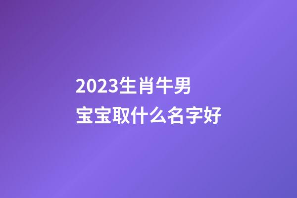 2023生肖牛男宝宝取什么名字好