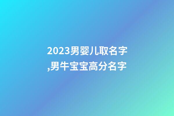 2023男婴儿取名字,男牛宝宝高分名字