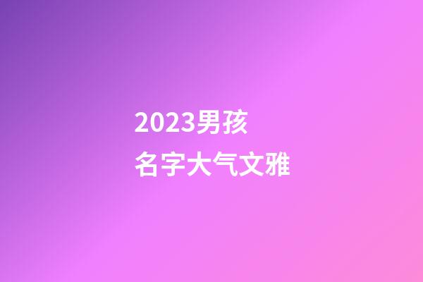 2023男孩名字大气文雅