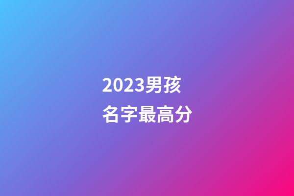 2023男孩名字最高分