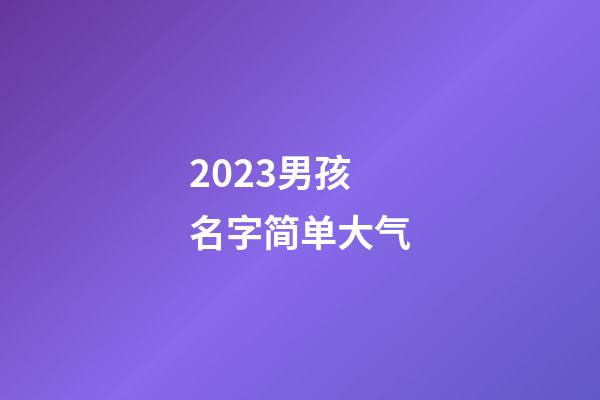 2023男孩名字简单大气