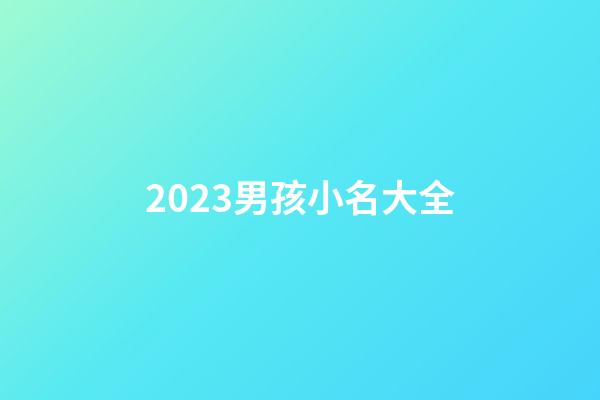 2023男孩小名大全