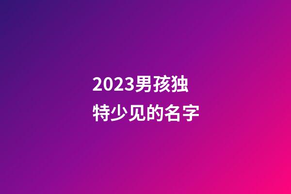 2023男孩独特少见的名字
