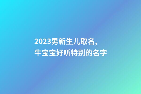2023男新生儿取名,牛宝宝好听特别的名字