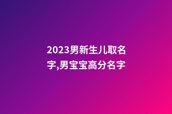 2023男新生儿取名字,男宝宝高分名字