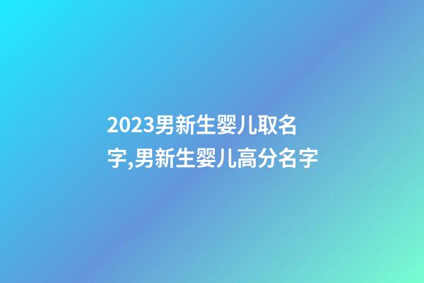 2023男新生婴儿取名字,男新生婴儿高分名字