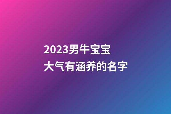 2023男牛宝宝大气有涵养的名字