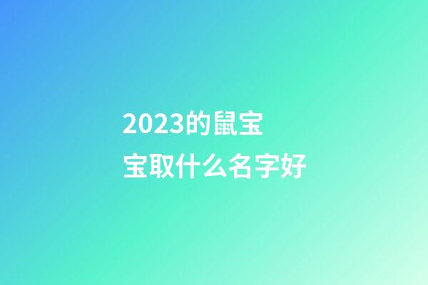 2023的鼠宝宝取什么名字好