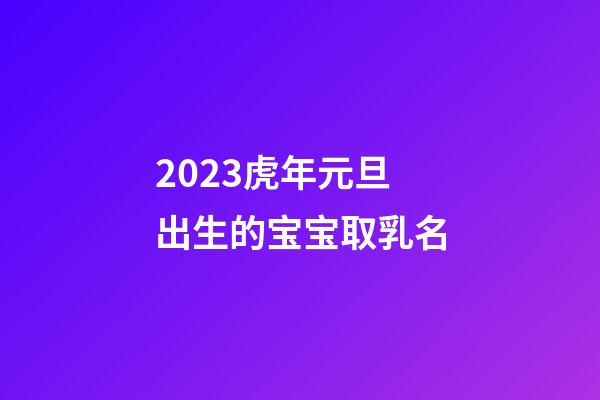 2023虎年元旦出生的宝宝取乳名